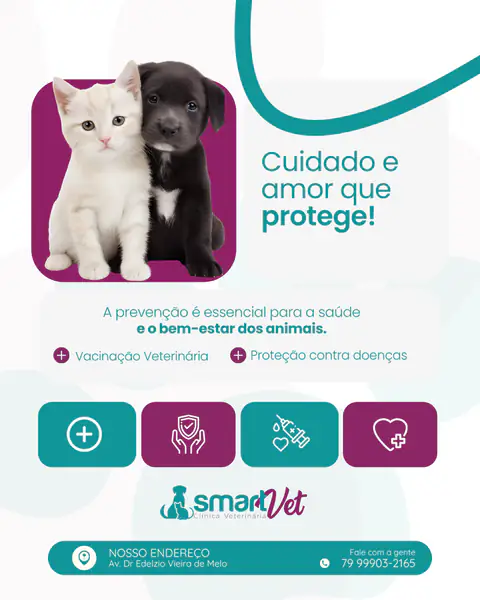 Clínica Veterinária: trabalho produzido pela DNAC